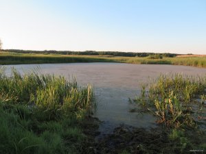 IMG_3778.JPG