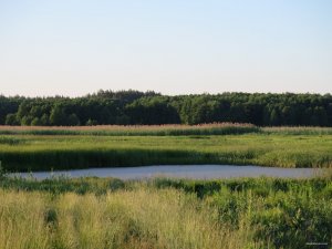 IMG_3780.JPG