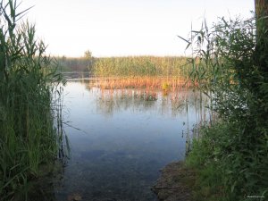 IMG_3782.JPG