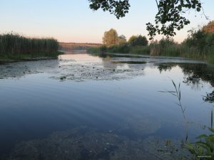 IMG_3785.JPG