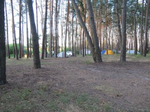 IMG_3790.JPG