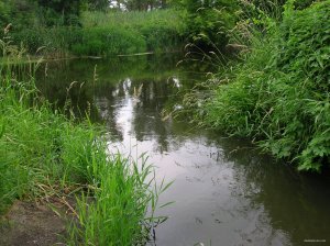 DSCN8897.JPG