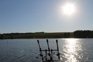 IMG_1357.JPG