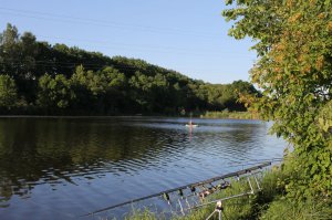 IMG_1364.JPG