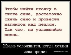 P_EEmQBjoyU.jpg