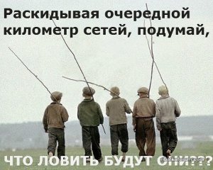 veaY5luVJDo.jpg