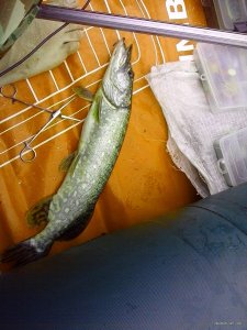 IMG_20150620_065814.jpg