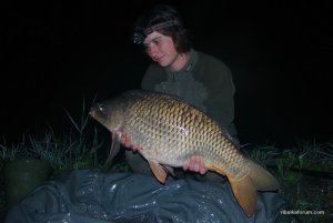 #10 8 kg.jpg