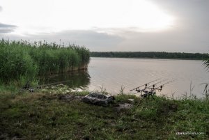 DSC_0045.jpg