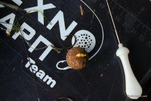 DSC_0047.jpg