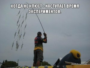 15JgGp8RCgM.jpg