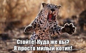 VmFnbrhAf4w.jpg