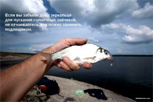 Чтобы пускать солнечных зайчиков_MG_9140.jpg