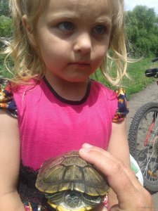 2015-06-29 12.06.16.jpg