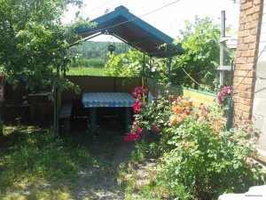 20150614_105506.jpg
