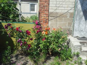 20150614_105414.jpg