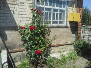 20150614_105401.jpg