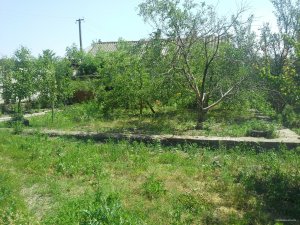 20150614_110346.jpg