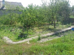 20150614_110601.jpg