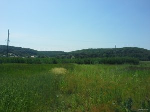 20150614_105953.jpg