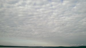 IMAG0360.jpg