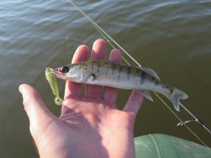IMG_3964.JPG