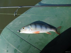 IMG_3967.JPG