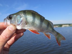 IMG_3969.JPG