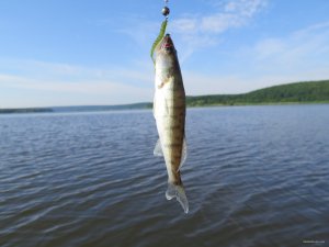 IMG_3962.JPG