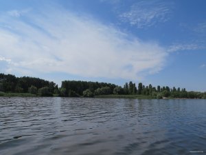 IMG_3985.JPG