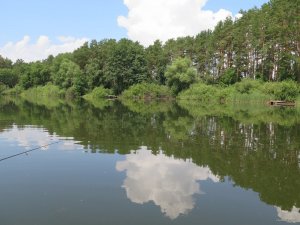 IMG_3993.JPG