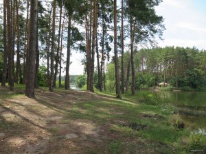 IMG_3996.JPG