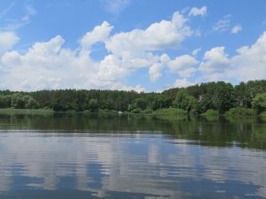 IMG_4000.JPG