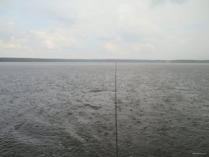 IMG_4003.JPG
