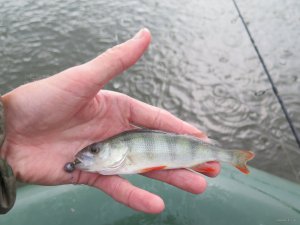 IMG_4006.JPG
