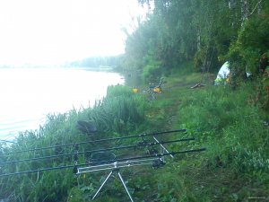 DSC00886.jpg