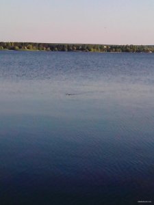 IMG_20150703_190458.jpg