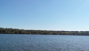 IMG_20150704_084820.jpg