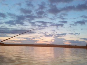 IMG_20150627_211818.jpg