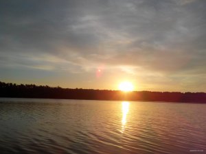 IMG_20150628_045616.jpg
