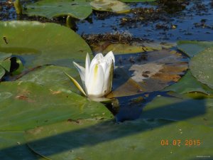 DSCN3059.JPG