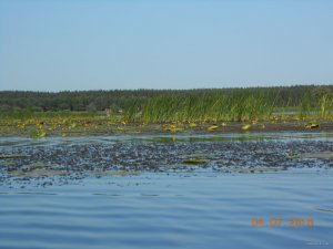 DSCN3062.JPG