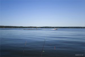 _MG_9564.jpg