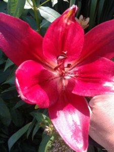 2015-06-23 14.37.43.jpg