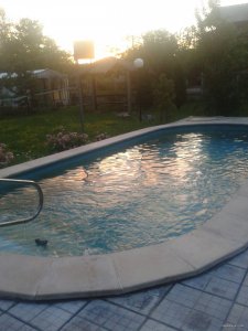 2015-07-02 20.28.43.jpg