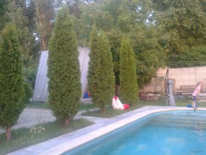 2015-07-02 20.31.01.jpg