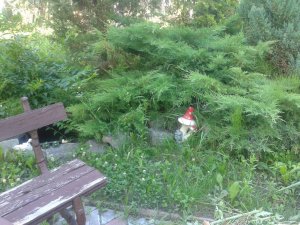 2015-07-03 17.15.39.jpg