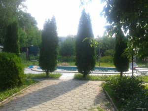 2015-07-03 17.17.27.jpg