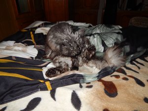 DSCN3073.JPG