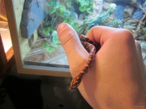 IMG_0100.JPG